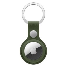 Apple 정품 에어태그 파인우븐 키링, 모스, 1개