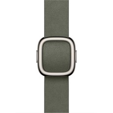 Apple 정품 2025 애플워치 모던 버클, 세이지 그레이, 1개, 42mm, Small