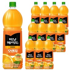 미닛메이드 프루티 오렌지 주스, 1.5L, 12개