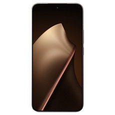샤오미 15T Pro 자급제 RAM 12GB, 모카 골드, 512GB