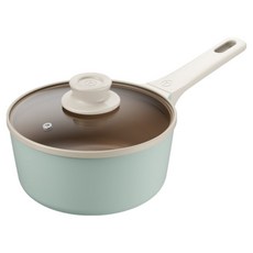 테팔 인덕션 세라믹 주물 아이콘 유칼립투스 편수냄비, 1개, 18cm
