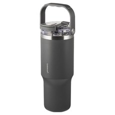 락앤락 데일리 플립스트로우 텀블러 LHC4457DGRY, 다크그레이, 1개, 880ml