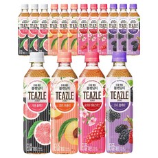 티즐 제로 자몽 피치 오미자 오디 혼합, 16개, 500ml