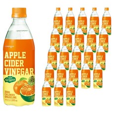 웅진 애사비 제주청귤하귤, 24개, 500ml