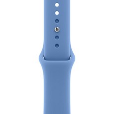 애플워치 스포츠 밴드, 와일드플라워 블루, 42mm, M/L