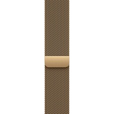 애플워치 밀레니즈 루프, 래디언트 골드, 46mm, M/L