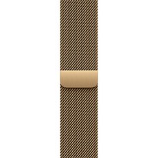 애플워치 밀레니즈 루프, 래디언트 골드, 42mm, Regular