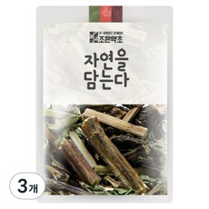 조은약초 박하, 100g, 1개입, 3개