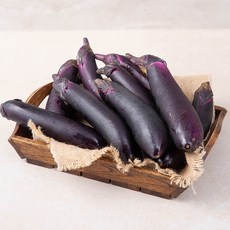 국내산 가지, 1개