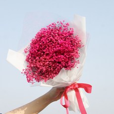 코코도르 프리저브드 안개꽃 꽃다발, 핑크