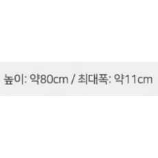 조아트 행잉 바구니넝쿨, 휘토니아, 2개 - 이미지 10