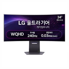 LG전자 WQHD 울트라기어 게이밍 모니터, 86.2cm, 34GS95QE