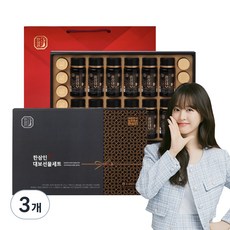 한삼인 홍삼 대보 선물세트 + 쇼핑백, 3개 3개