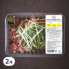 고급진 한우 대파듬뿍 소불고기, 2개, 600g