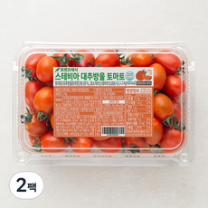 스테비아 대추방울 토마토, 1.2kg, 2팩