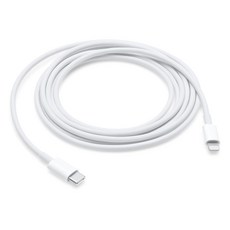 Apple 정품 Lightning-C타입 충전 케이블, 2m, 1개