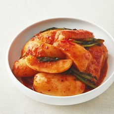 모산김치 갓담근 총각김치, 1개, 1kg 1개, 1kg