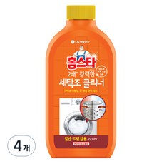 홈스타 퍼펙트 세탁조 클리너, 450ml, 4개