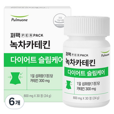 퍼팩 풀무원 퍼팩 녹차카테킨 다이어트슬림케어 24g, 6개, 30정