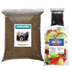 두점박이사슴벌레