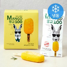 프룻바 망고 100 5입 (냉동), 400g, 1개
