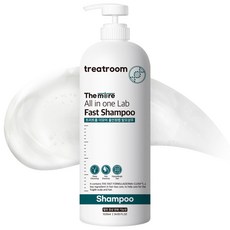 트리트룸 올인원랩 탈모 증상 완화 기능성 샴푸, 1030ml, 1개