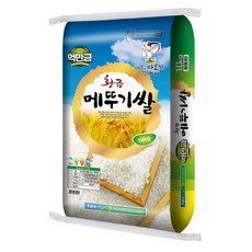 창녕군농협 황금 메뚜기쌀 백미, 10kg, 1개