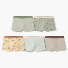 unifriend 男童款Safari Dino四角內褲 5件組
