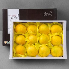 귤로장생 GAP 제주농협 황금향, 3kg(10~15입), 1박스