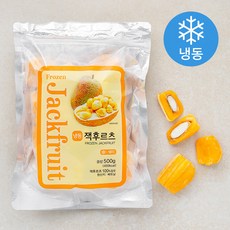 신정푸드 잭 후르츠 (냉동) 500g 1개