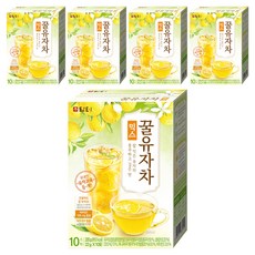 담터 꿀유자차 믹스, 22g, 10개입, 5개