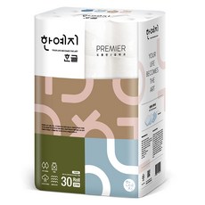 한예지비데티슈