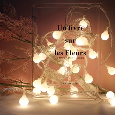 나이스엘이디 LED 앵두전구 100구