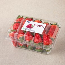 충남오감 논산 GAP 비타베리 딸기(중과), 500g, 1개