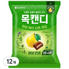 롯데목캔디대용량