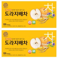 우리차 송원식품 도라지배차, 1g, 100개입, 2개