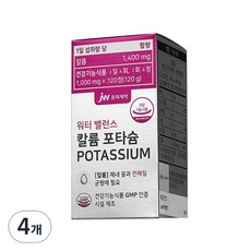 JW중외제약 워터 밸런스 칼륨 포타슘 120g, 120정, 4개