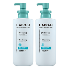 라보에이치 댄드 러프 클리닉 비듬 두피 각질 케어 약산성 기능성샴푸, 400ml, 2개 2개, 400ml
