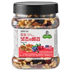 넛츠팜 토핑 넛츠앤베리 믹스넛, 400g, 1개 400g, 1개