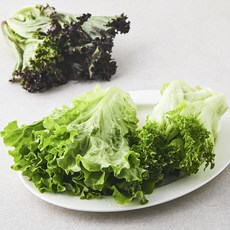 친환경 샐러드용 채소모둠, 270g, 1개입, 1개