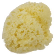 Bellini 天然海棉 SA-12，100%地中海天然海綿，意大利產, 1個