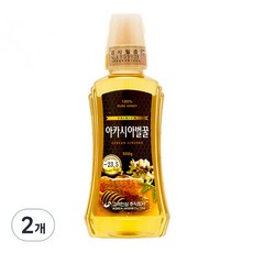 고려인삼 아카시아 벌꿀, 500g, 2개