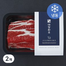대정한우 우삼겹 1++등급 (냉동), 200g, 2개 200g, 2개
