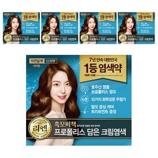리엔 흑모비책 프로폴리스 담은 크림 염색제 새치용 12회분, 자연갈색, 5개