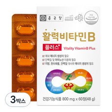 종근당 활력 비타민B 플러스 60정 3개