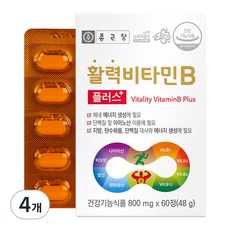 종근당 활력 비타민B 플러스, 60정, 48g, 4개