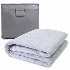 대진전자 탄소 극세사 워셔블 전기매트 DEB-616, 싱글(110 x 180 cm)