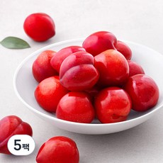 하이프루츠 새콤달콤 대석 자두(특대), 5팩, 1kg