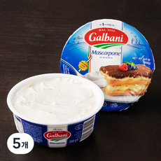갈바니 마스카포네, 5개, 250g