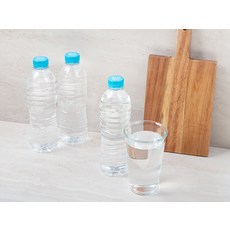 탐사 샘물, 500ml, 40개